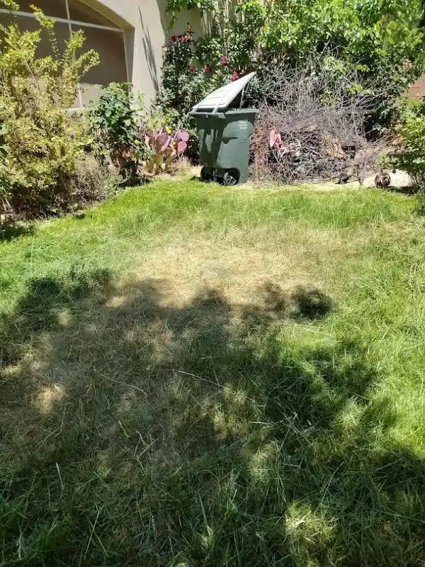 Affordable Landscape Contractor