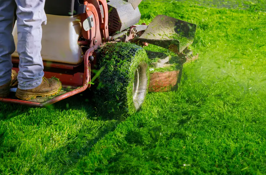 Experienced Lawn Mowing Service Enoch, UT Experienced Lawn Mowing Service Enoch, UT