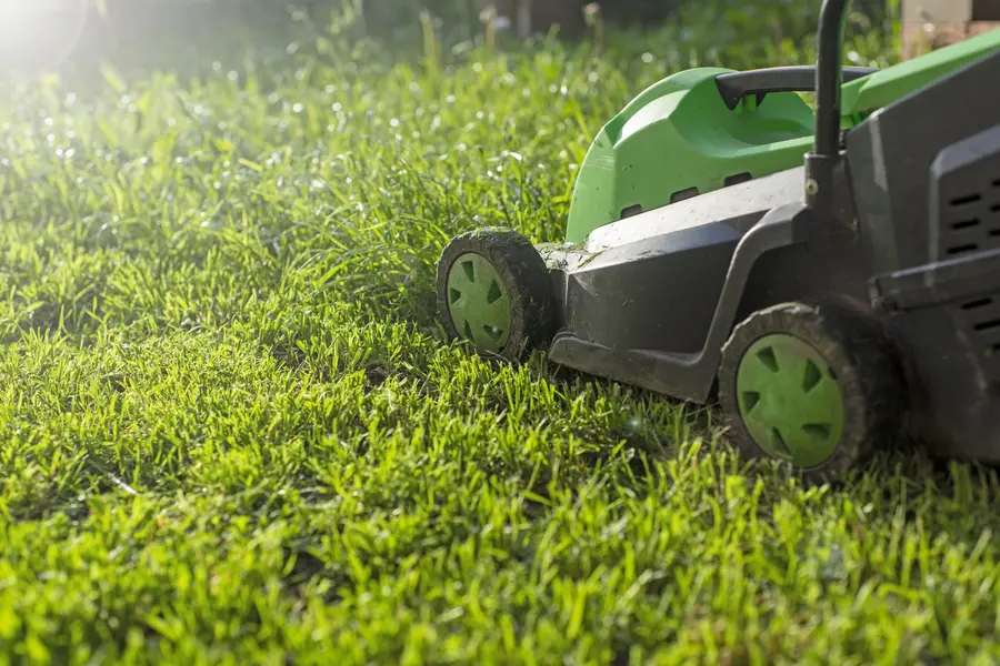 How Lawn Mowing Service Enhances Your Lawns Fertilization in Enoch, UT How Lawn Mowing Service Enhances Your Lawns Fertilization in Enoch, UT