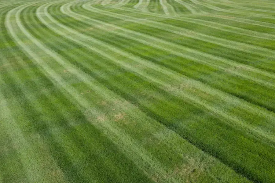 How To Align Commercial Lawn Mowing Schedules With Irrigation Cycles in Enoch, UT How To Align Commercial Lawn Mowing Schedules With Irrigation Cycles in Enoch, UT