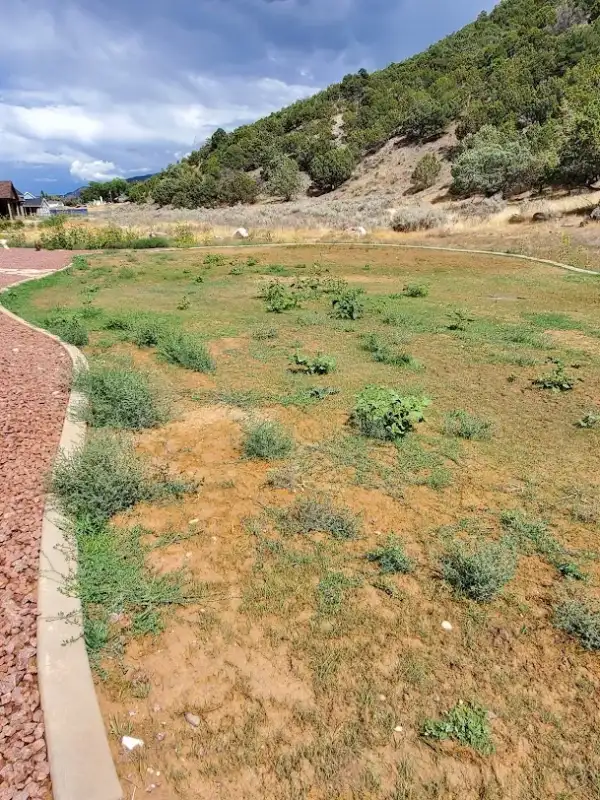 Professional Landscaping Services