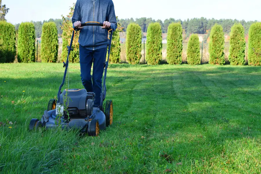 The Importance Of Lawn Mowing In Preventing Weed Overgrowth Enoch, UT The Importance Of Lawn Mowing In Preventing Weed Overgrowth Enoch, UT