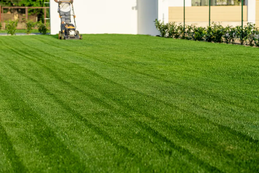The Importance Of Lawn Mowing In Preventing Weed Overgrowth in Enoch, UT The Importance Of Lawn Mowing In Preventing Weed Overgrowth in Enoch, UT