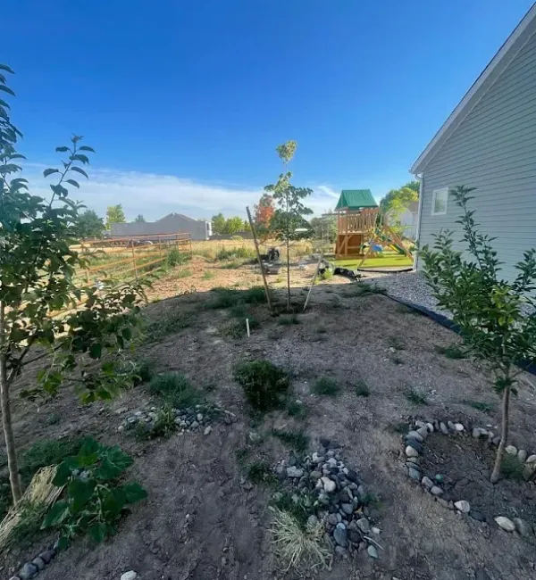 Top-notch Landscape Services